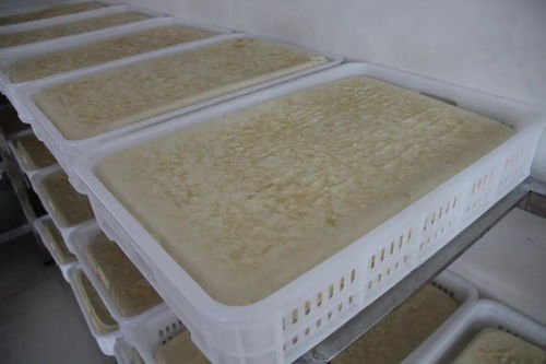新密市 浮戏山 豆腐你吃过吗 豆花香食品厂 新密食品行业的新星